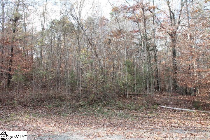 0 Sally Reed Road, Unit LOT 25 Belton, SC 29627 - Photo 28 of 31