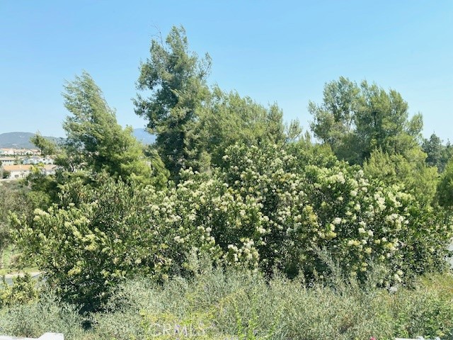 45360 Vista Verde Temecula, CA 92592 - Photo 19 of 23 a view of a lush green forest