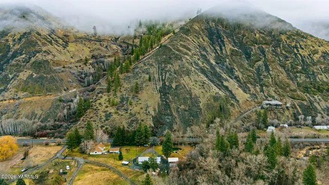 a view of a yard with plants