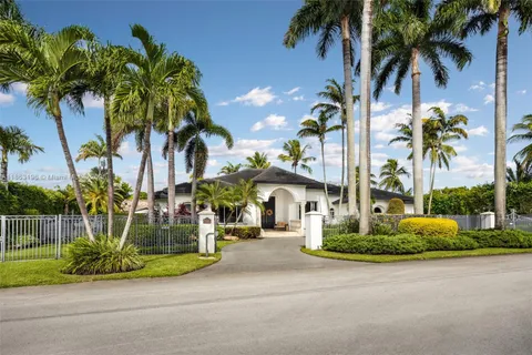a view of a street with palm trees