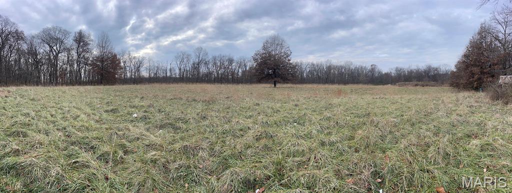 13703 Timberline Road Highland, IL 62249 - Photo 3 of 13