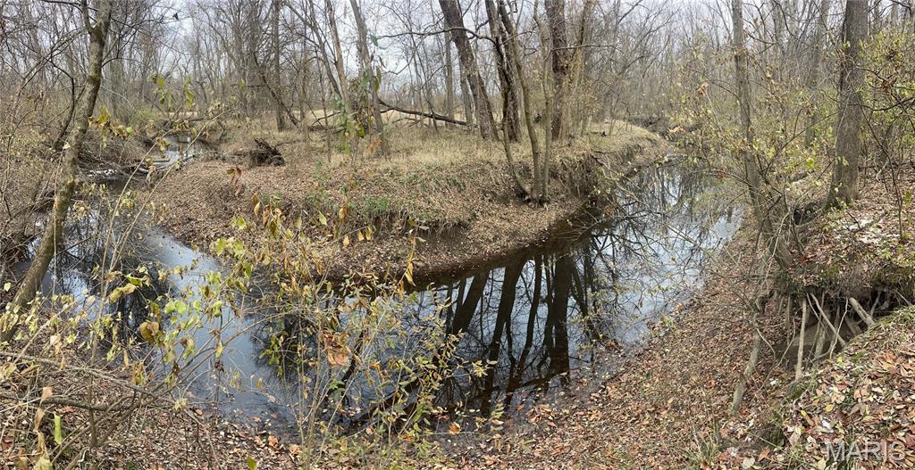 13703 Timberline Road Highland, IL 62249 - Photo 4 of 13