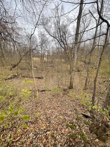 $305,000 | 13703 Timberline Road, Highland, IL 62249