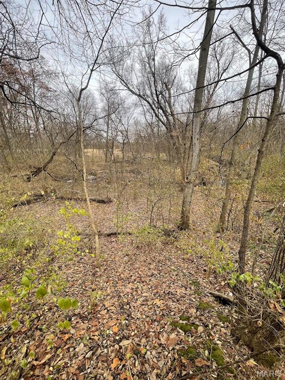 13703 Timberline Road Highland, IL 62249 - Photo 5 of 13