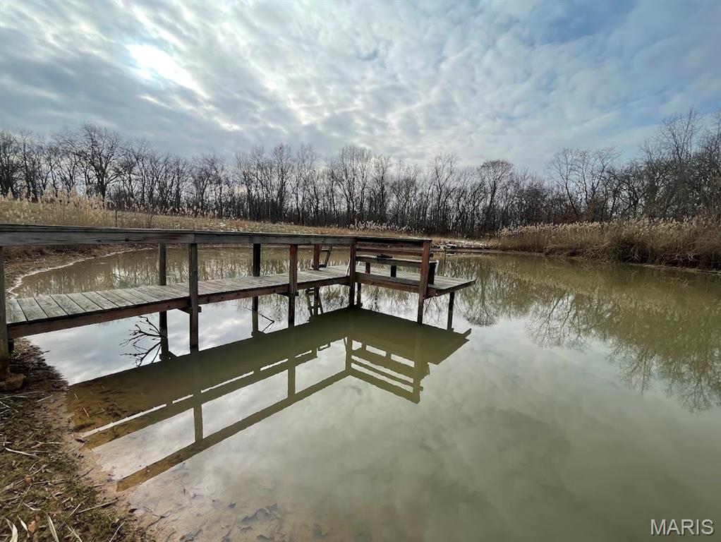 13703 Timberline Road Highland, IL 62249 - Photo 7 of 13