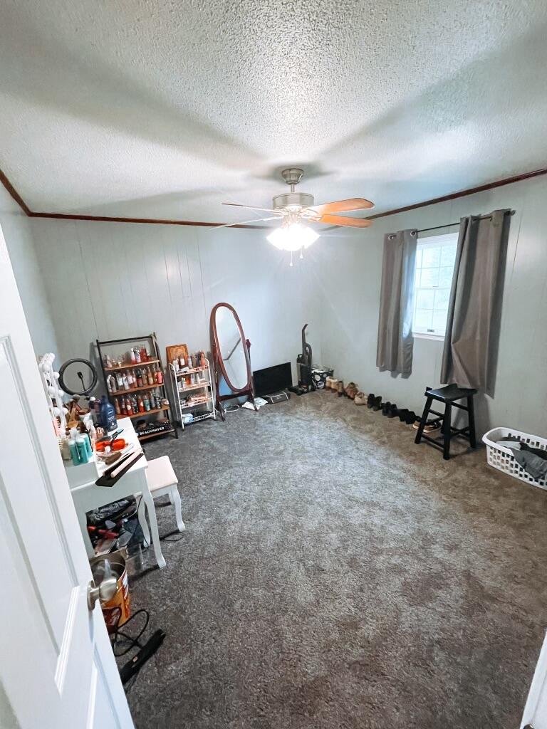 384 Big Springs Road Elizabethton, TN 37643 - Photo 13 of 17 IMG_0160 (1)