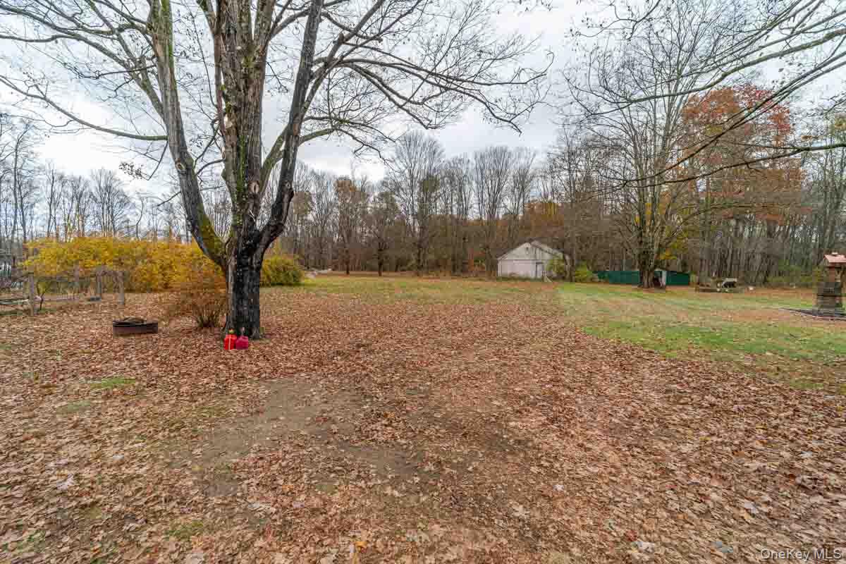 132 Red Top Road Wallkill, NY 12589 - Photo 16 of 19 a view of a yard with a tree