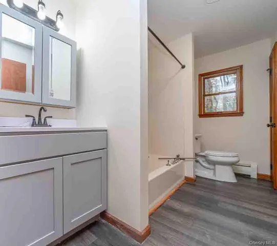 a bathroom with a sink a toilet and a mirror