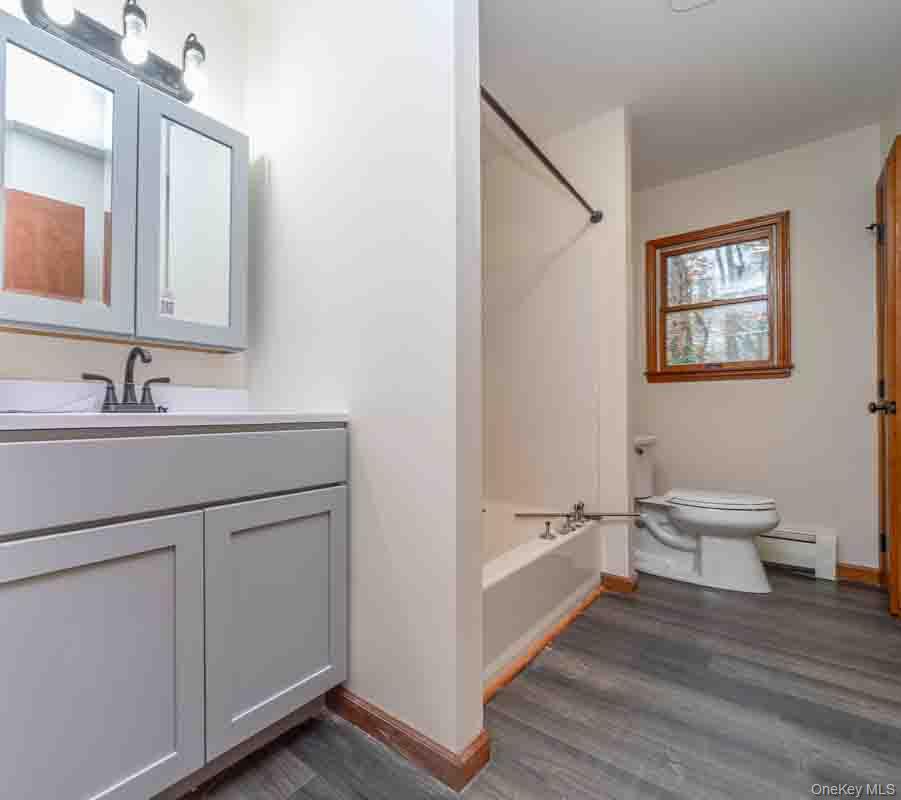 132 Red Top Road Wallkill, NY 12589 - Photo 10 of 19 a bathroom with a sink a toilet and a mirror