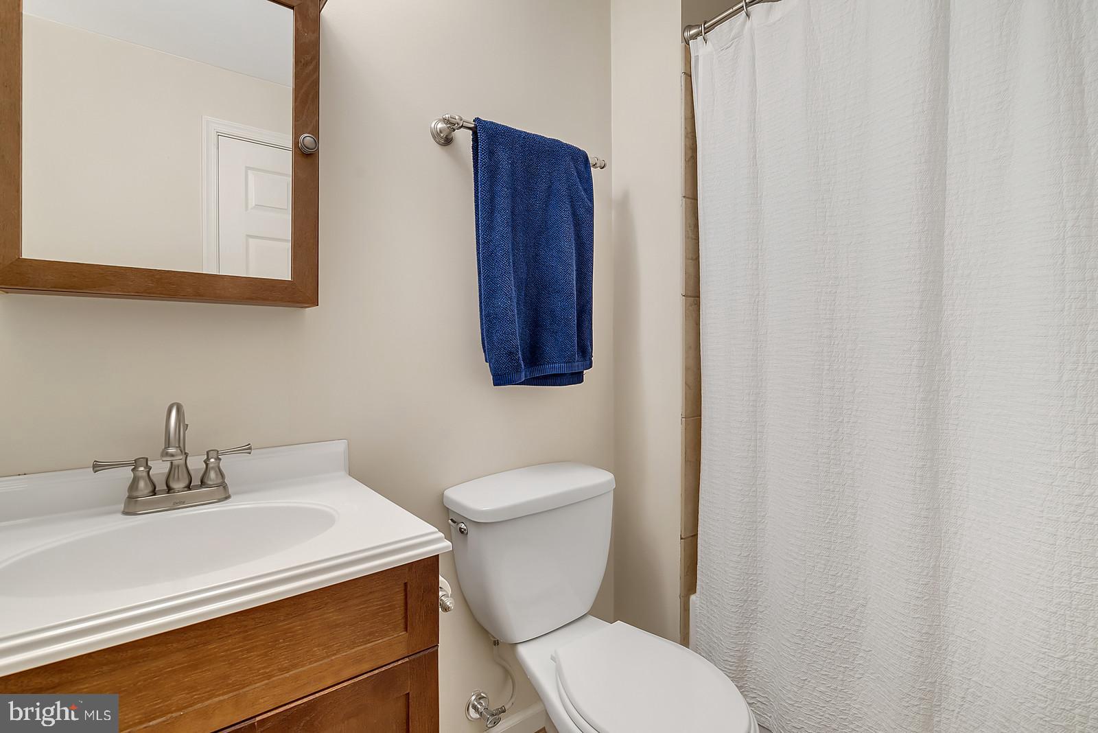 14320 Fallsmere Circle Gainesville, VA 20155 - Photo 36 of 50 Basement bath
