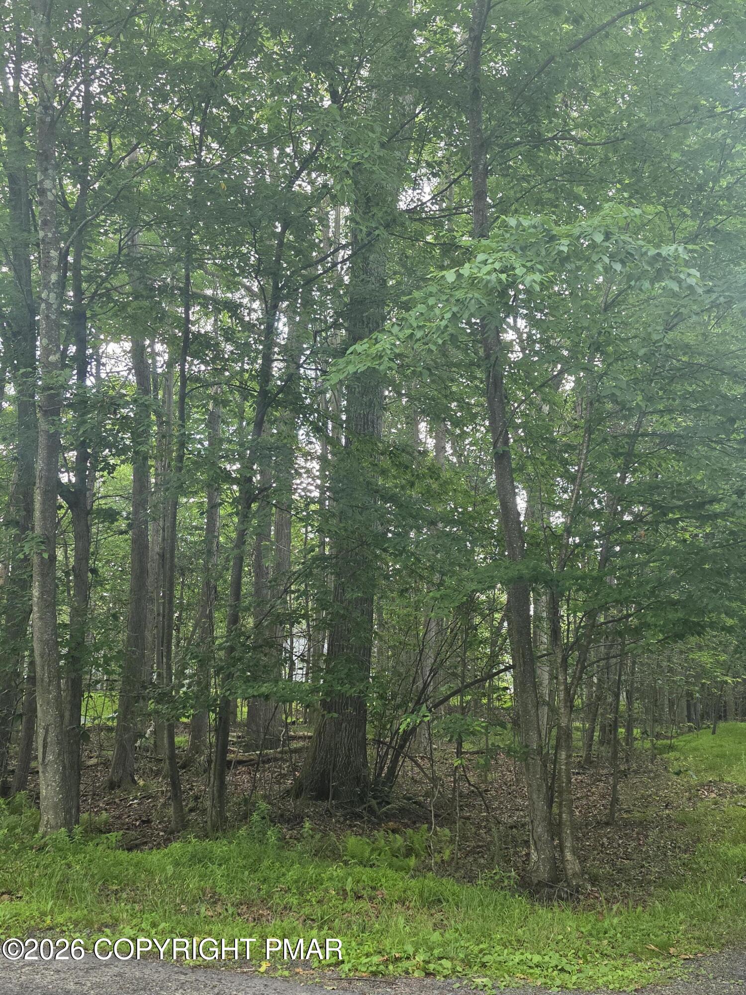 111 Mayfair Road Tobyhanna, PA 18466 - Photo 2 of 3 20260629_102322