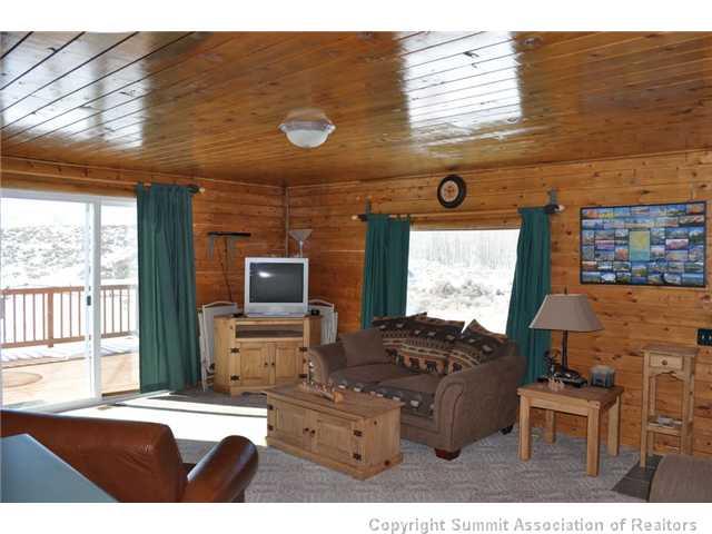 85 Elk Road Leadville, CO 80461 - Photo 4 of 22 Gallery Image 4