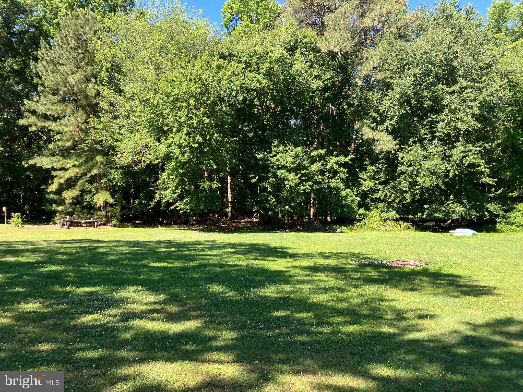 4818 Piney Neck Road Rock Hall, MD 21661 - Photo 22 of 24 a view of a grassy field with trees