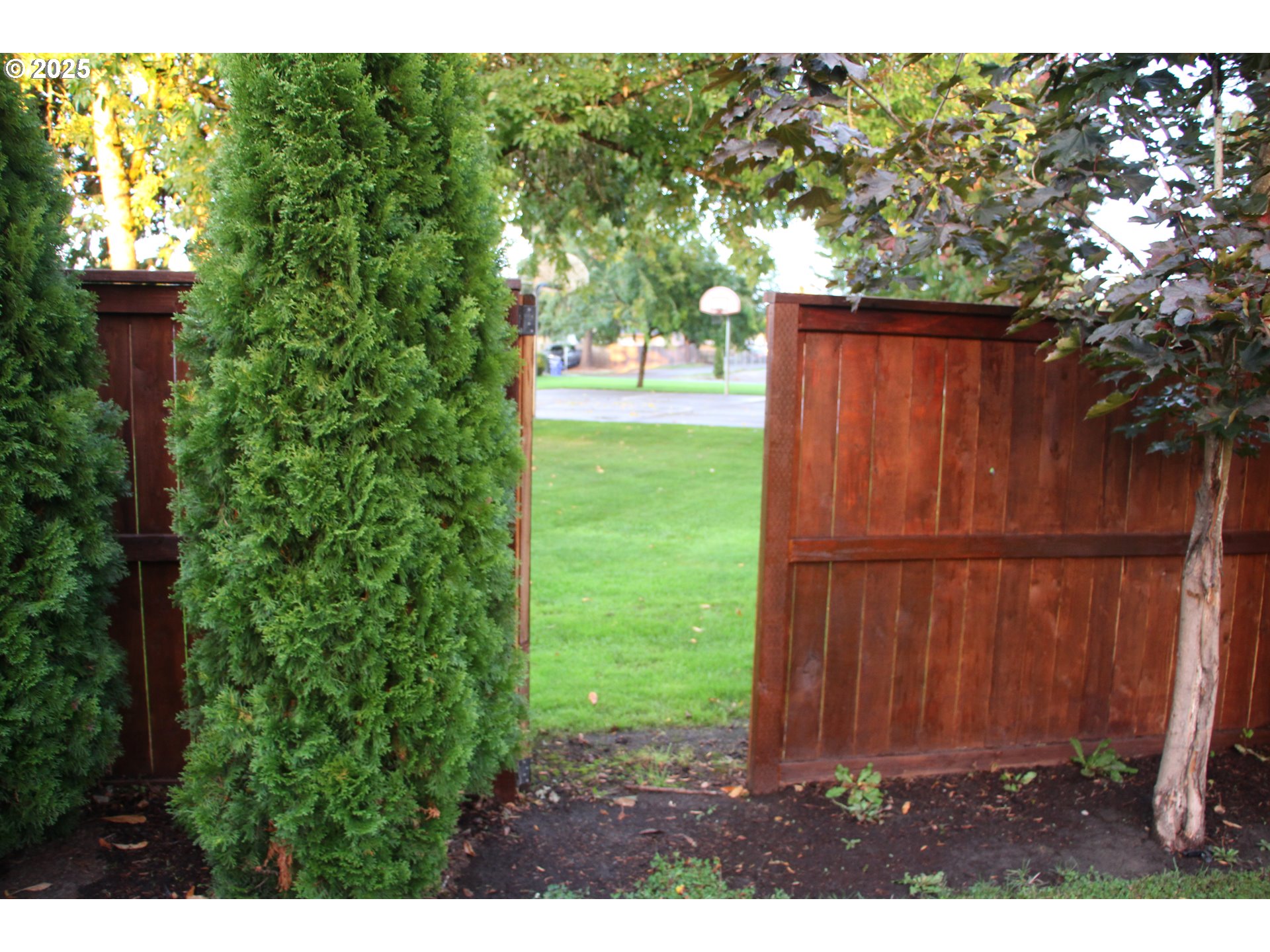 332 South Tarrybrook Drive Cornelius, OR 97113 - Photo 11 of 43