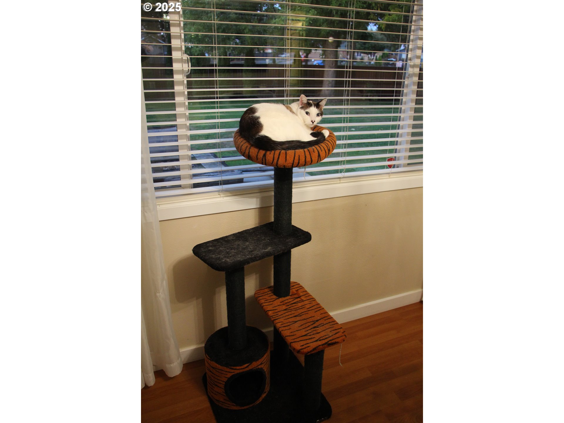 332 South Tarrybrook Drive Cornelius, OR 97113 - Photo 23 of 43