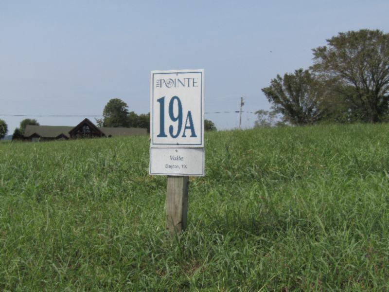 Lot 19 East Swan Ridge Road Celina, TN 38551 - Photo 2 of 20 09162020 015