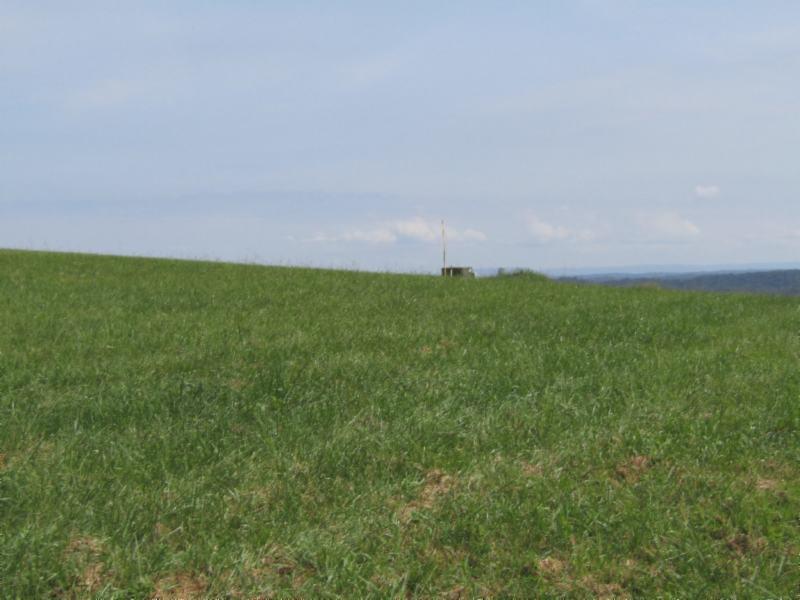Lot 19 East Swan Ridge Road Celina, TN 38551 - Photo 14 of 20 09162020 035