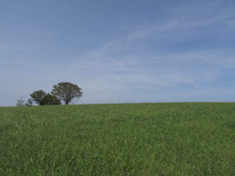 Lot 19 East Swan Ridge Road Celina, TN 38551 - Photo 4 of 20 09162020 017