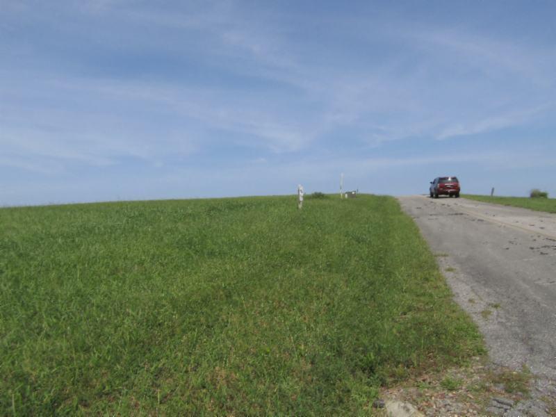 Lot 19 East Swan Ridge Road Celina, TN 38551 - Photo 5 of 20 09162020 018
