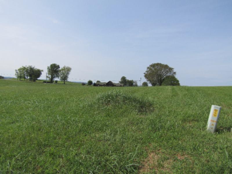 Lot 19 East Swan Ridge Road Celina, TN 38551 - Photo 8 of 20 09162020 021