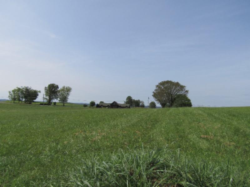 Lot 19 East Swan Ridge Road Celina, TN 38551 - Photo 10 of 20 09162020 026