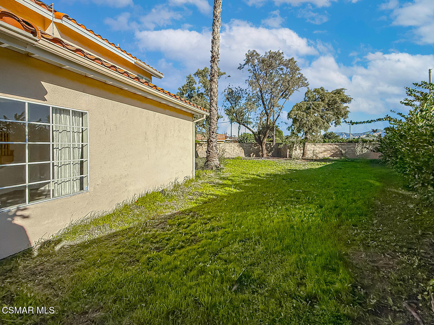 1106 Mockingbird Lane Fillmore, CA 93015 - Photo 24 of 28 Backyard