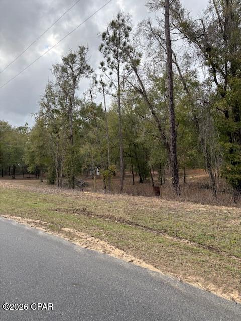 2816 Territory Road Chipley, FL 32428 - Photo 2 of 13