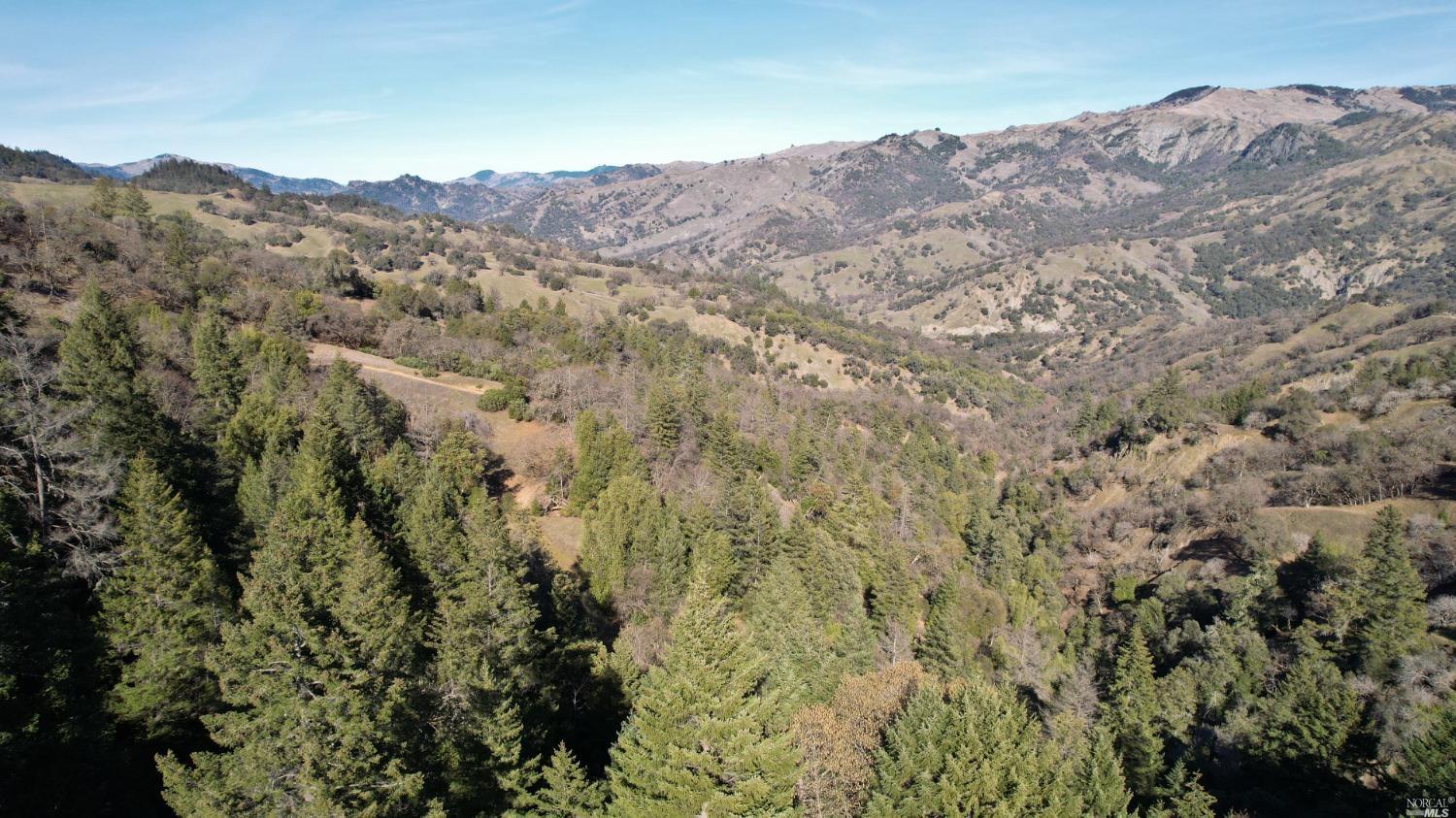 an aerial view of mountain and tree