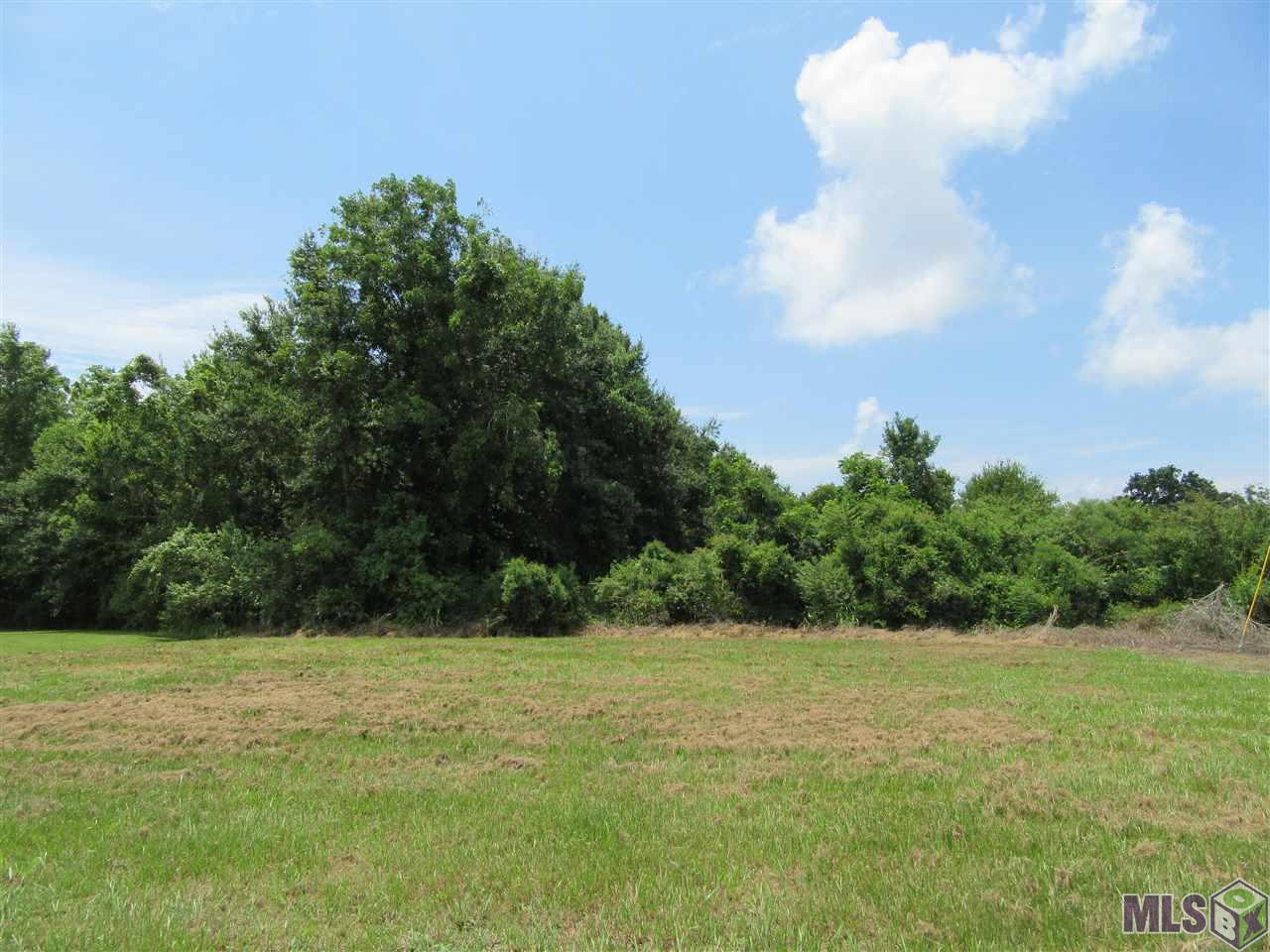 3235 Highway 3235 Cut Off, LA 70345 - Photo 4 of 10