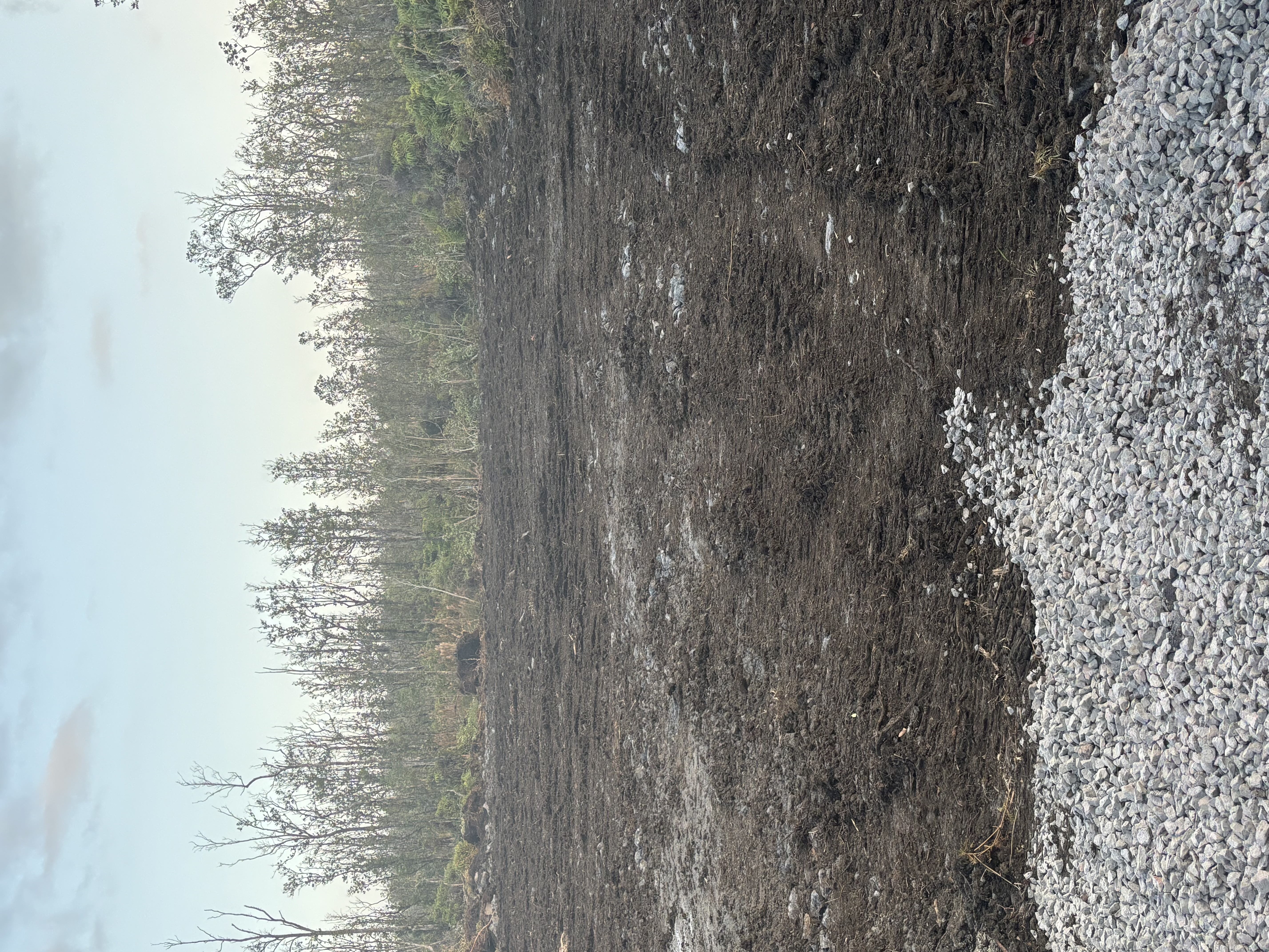 37 Ohialani Road Mountain View, HI 96771 - Photo 3 of 9 a view of a pathway both side of a road