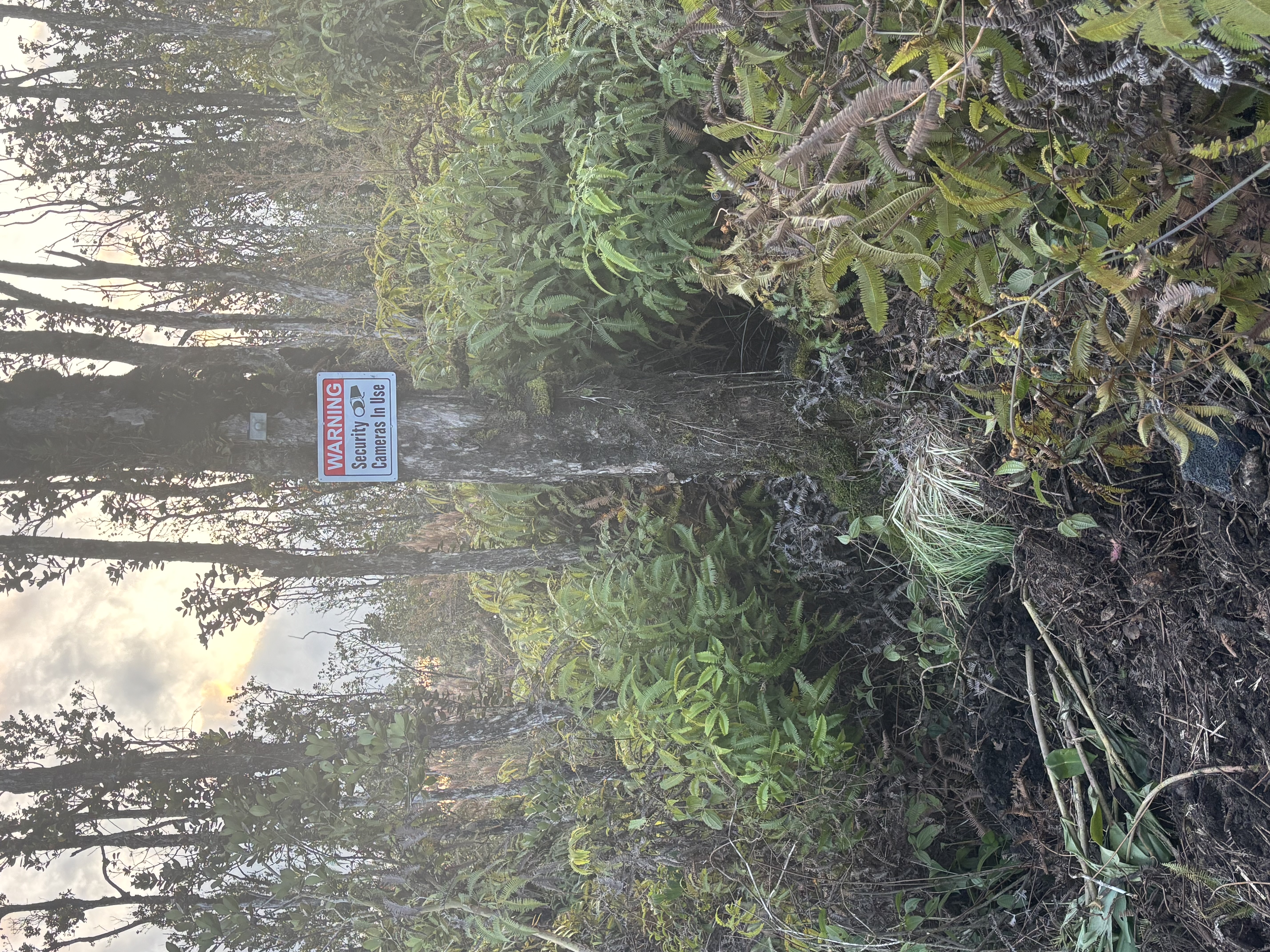 37 Ohialani Road Mountain View, HI 96771 - Photo 4 of 9 a close up of a street sign