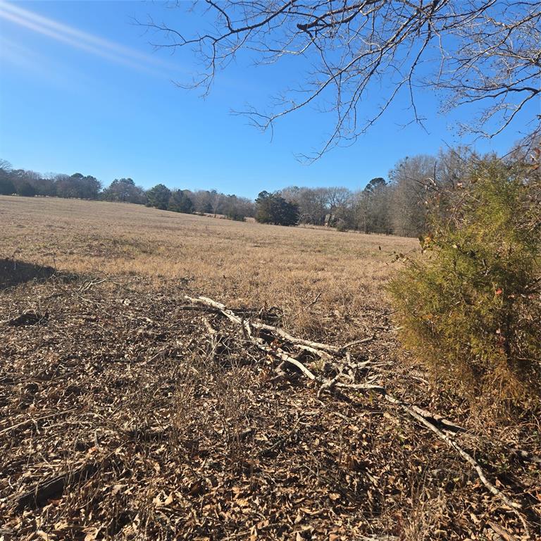 19953 Turtle Creek Road Flint, TX 75762 - Photo 2 of 8 a view of lake and mountain