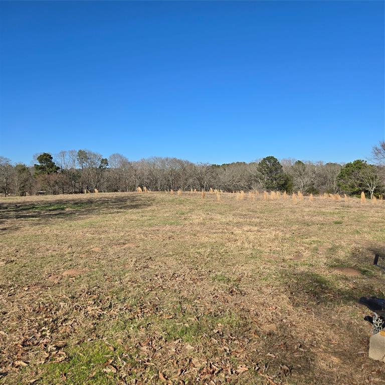 19953 Turtle Creek Road Flint, TX 75762 - Photo 3 of 8 a view of lake and mountain