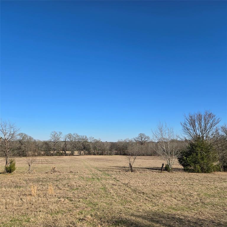 19953 Turtle Creek Road Flint, TX 75762 - Photo 4 of 8 a view of lake view and mountain view