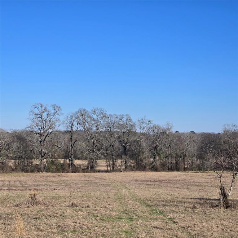 19953 Turtle Creek Road Flint, TX 75762 - Photo 5 of 8 a view of beach and ocean