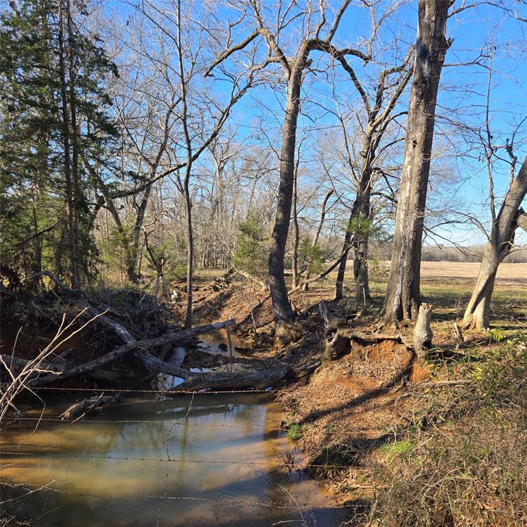 19953 Turtle Creek Road Flint, TX 75762 - Photo 7 of 8 a view of swimming pool with a yard