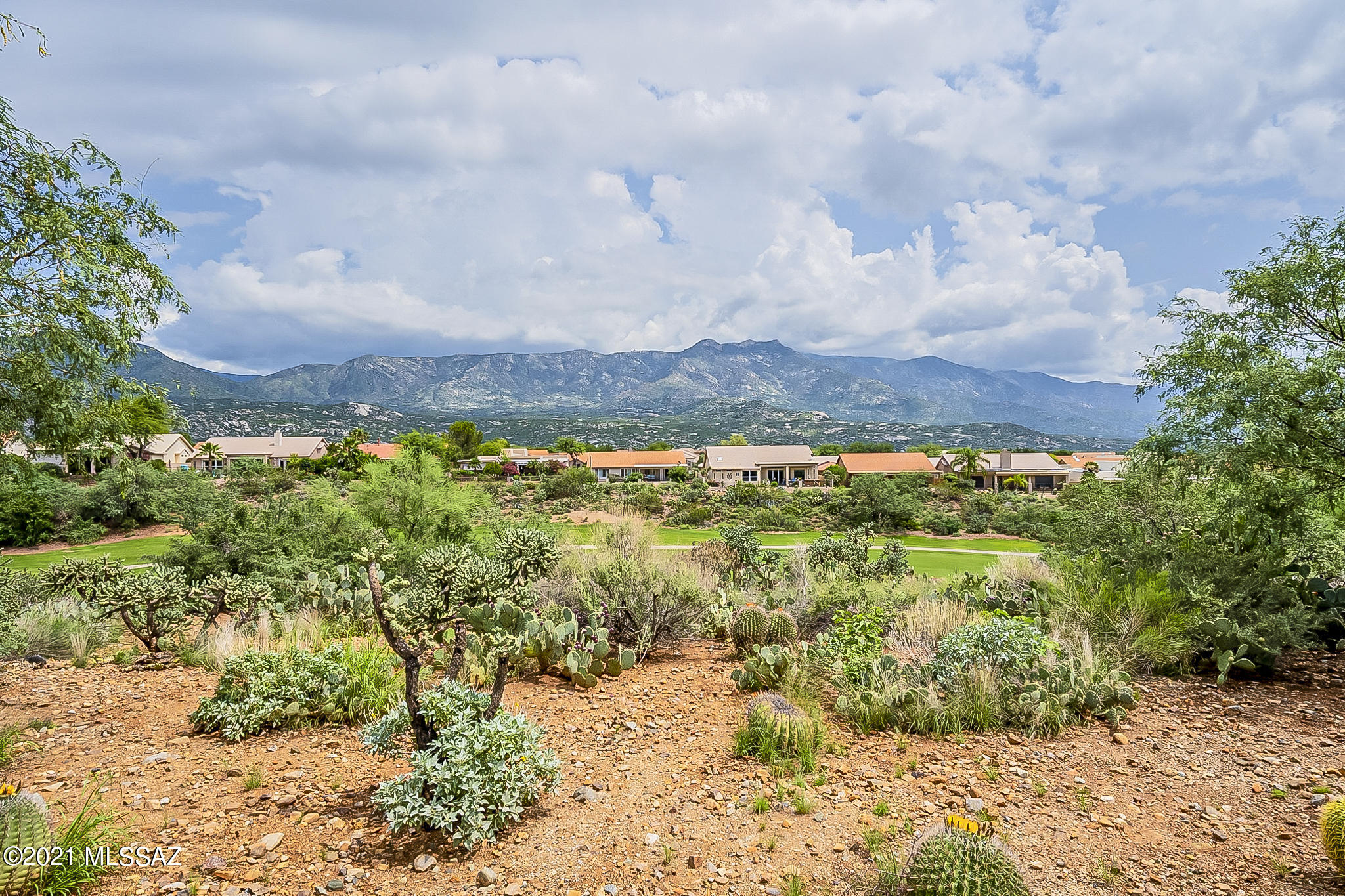 38121 South Stone Ridge Court Tucson, AZ 85739 - Photo 12 of 49