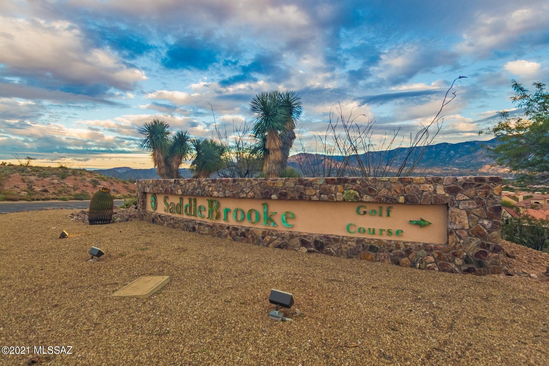 38121 South Stone Ridge Court Tucson, AZ 85739 - Photo 46 of 49