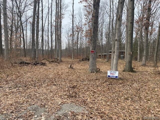 0 Marshall Road Montrose, MI 48457 - Photo 2 of 9