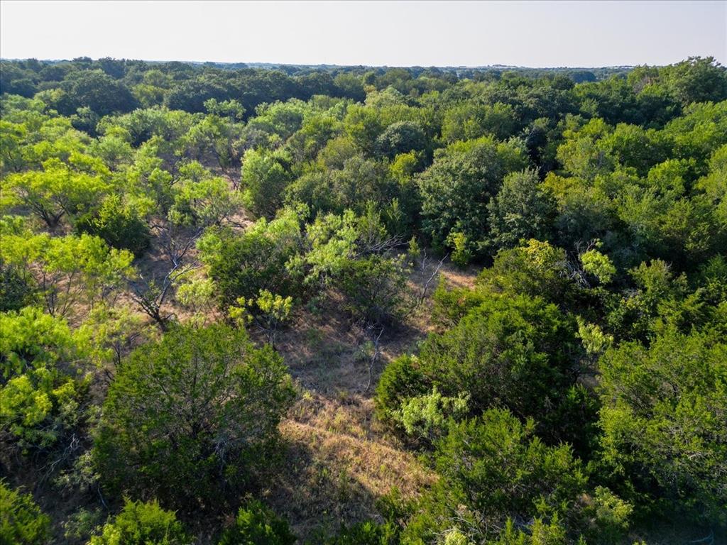 Tbd Tbd Bounty Road Perrin, TX 76486 - Photo 2 of 11 Gallery Image 2