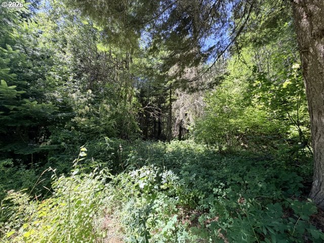 Snowden Road White Salmon, WA 98672 - Photo 24 of 26