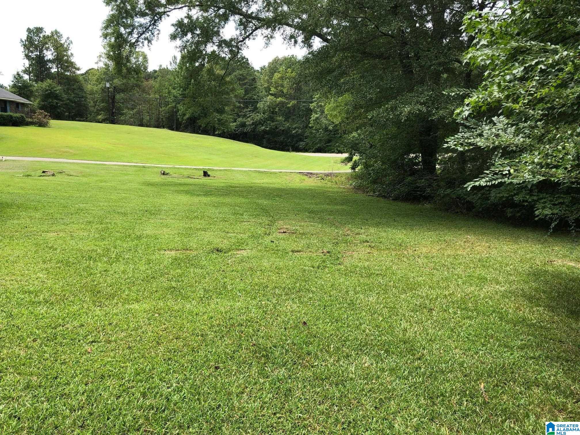 958 Chelsea Road Columbiana, AL 35051 - Photo 4 of 16