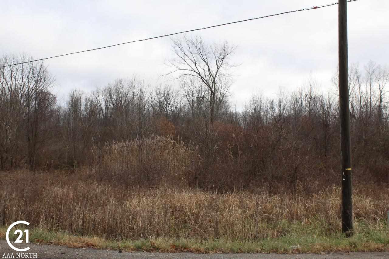 0 South Lake George Road Attica, MI 48412 - Photo 2 of 9