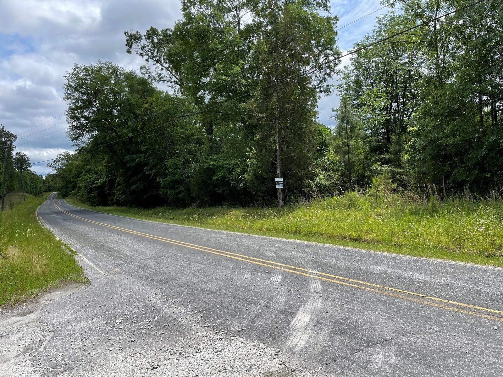 Tbd Ford Road Gaffney, SC 29341 - Photo 4 of 10 Gallery Image 4
