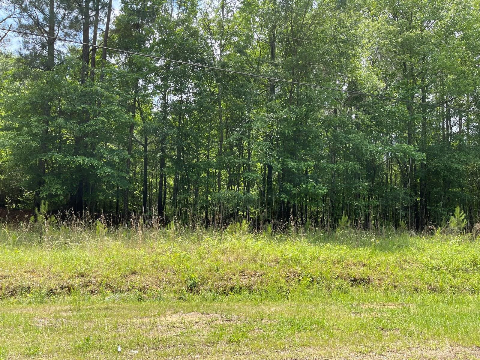 Tbd Ford Road Gaffney, SC 29341 - Photo 8 of 10 Gallery Image 8