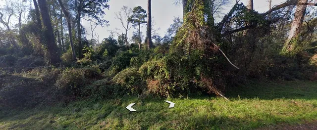 $67,500 | Lot 52 Overcup Drive, Spring, TX 77389