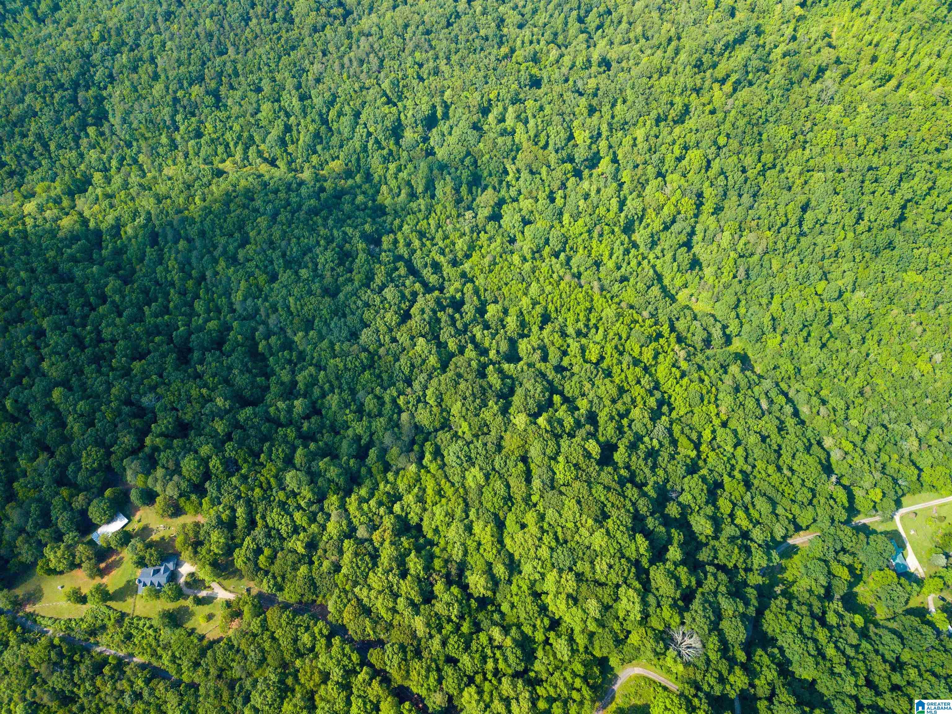 Cliff Road Springville, AL 35146 - Photo 1 of 11