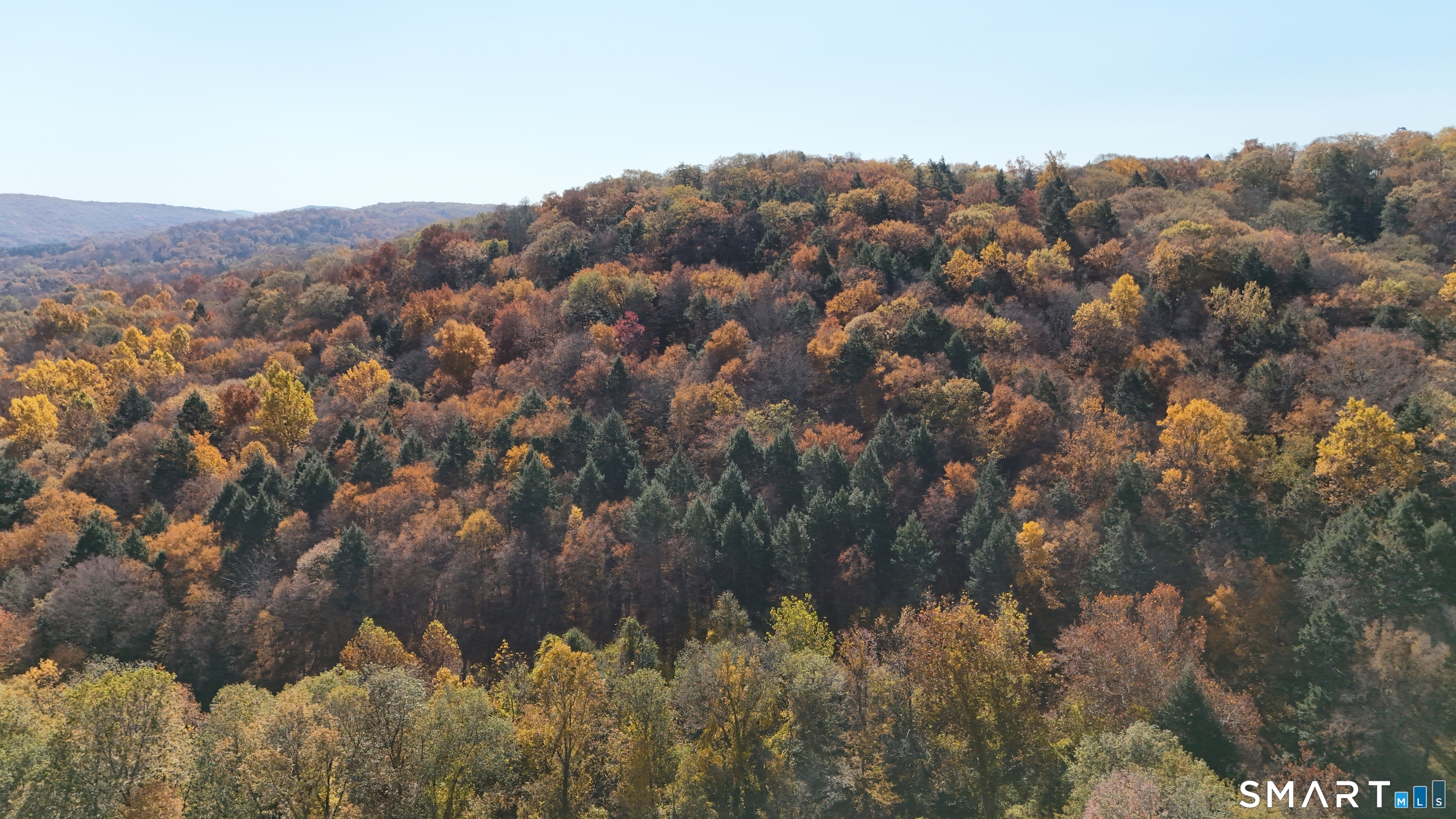 40 Long River Road Sherman, CT 06784 - Photo 14 of 24 a view of a lot of trees and bushes