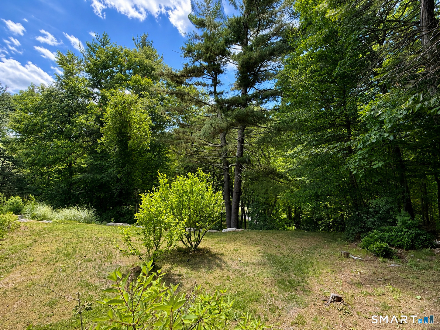 44 Pine Road Colebrook, CT 06021 - Photo 12 of 17