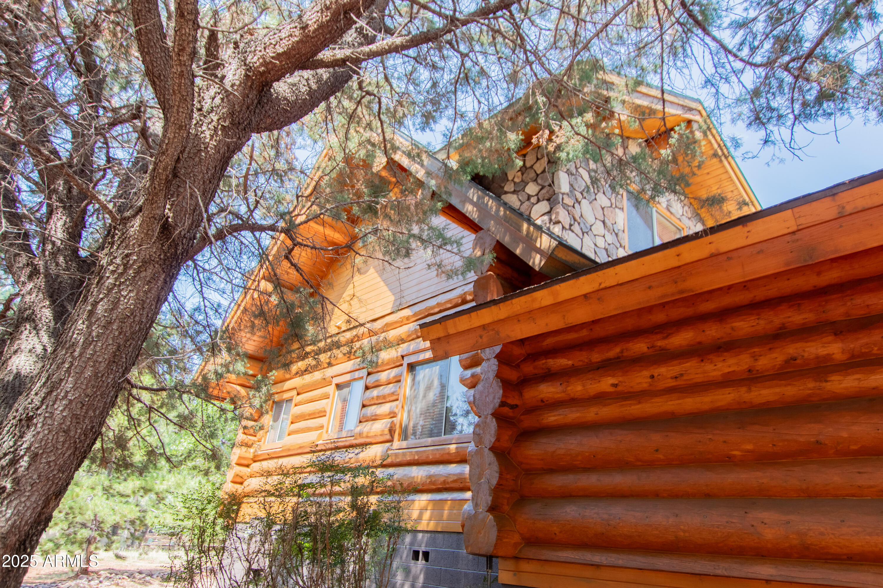 6168 Hidden Pines Loop Pine, AZ 85544 - Photo 59 of 77 a view of outdoor space